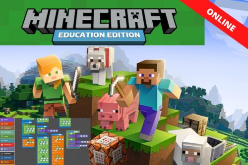 Minecraft Coding 1 & 2 - Spring Term 2026